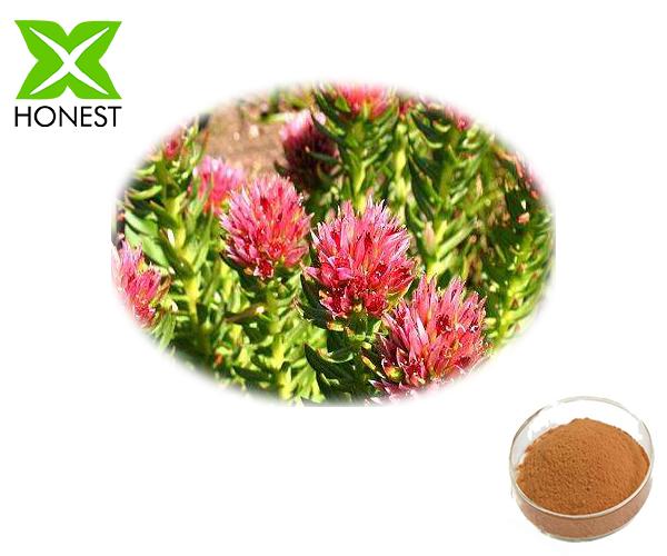 Rhodiola Rosea Extract