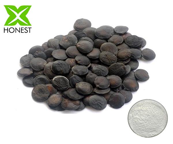 Griffonia Seed Extract