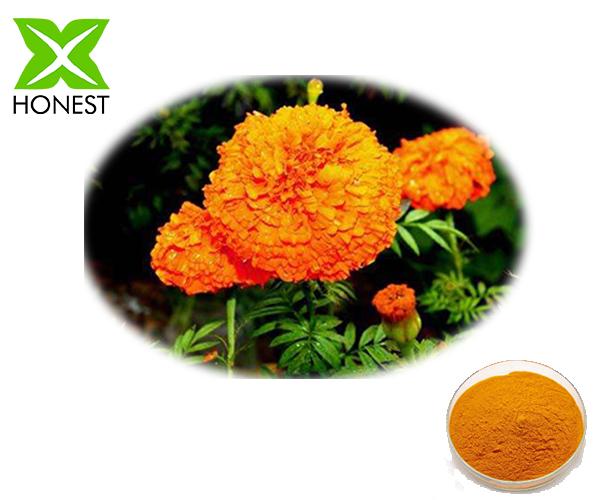 Marigold Extract