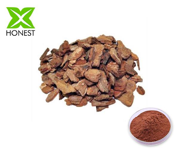 Pine Bark Extract