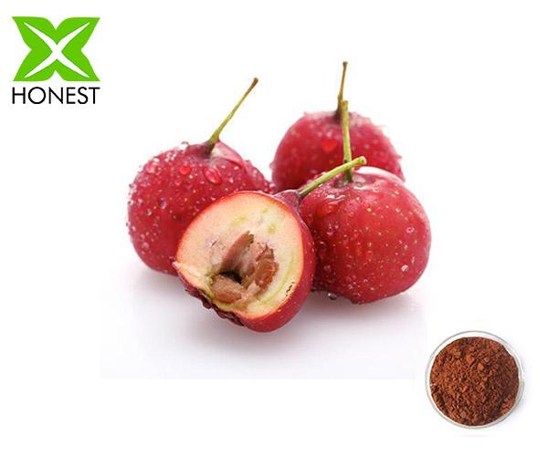 Hawthorn Berry Extract