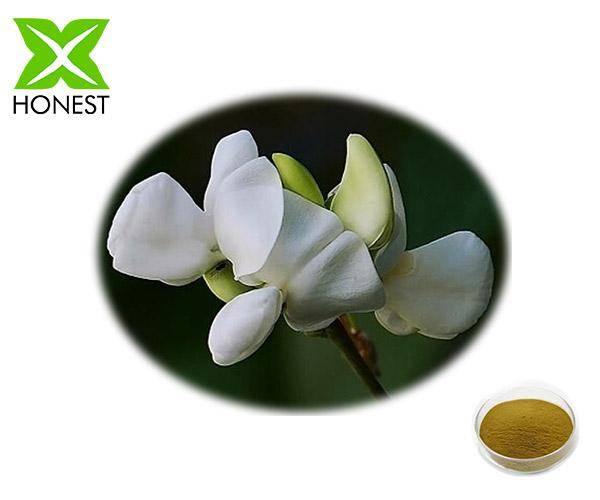 White Lentil Flower Extract