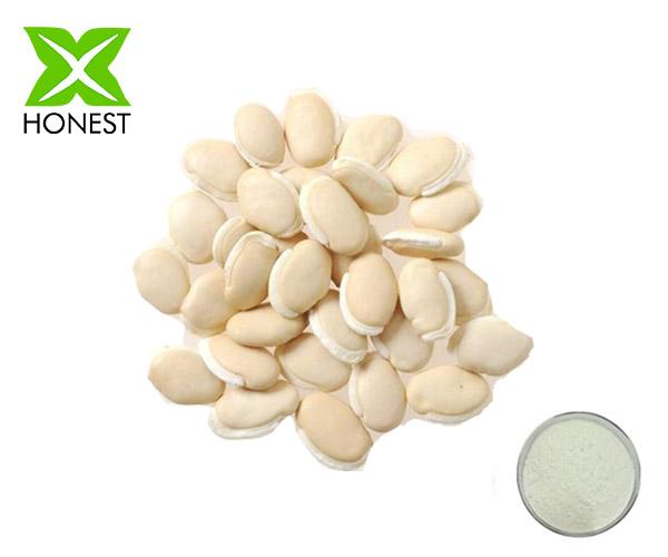 White Lentil Extract