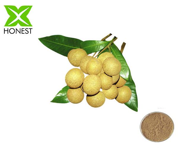 Longan Meat Extract