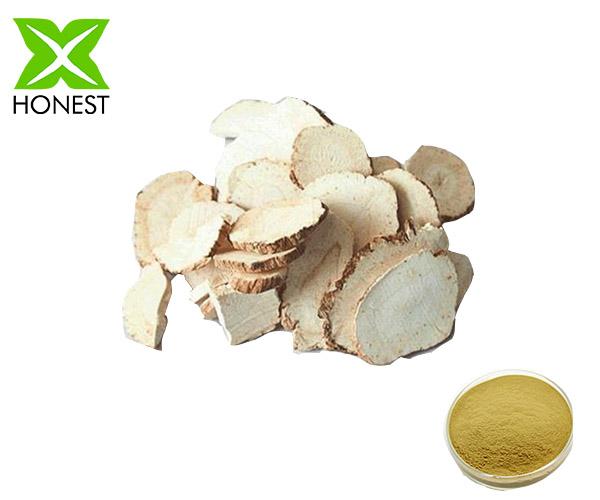 Radix Angelicae Dahurica Extract