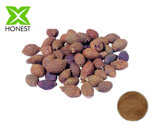 Boat-fruited Sterculia Seed Extract