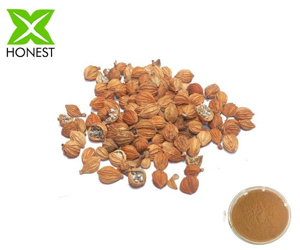 Amomum extract