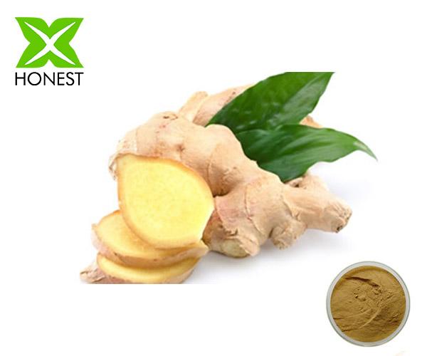 Ginger extract