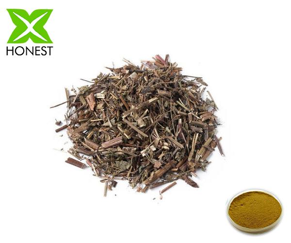 Moslae Herba extract 