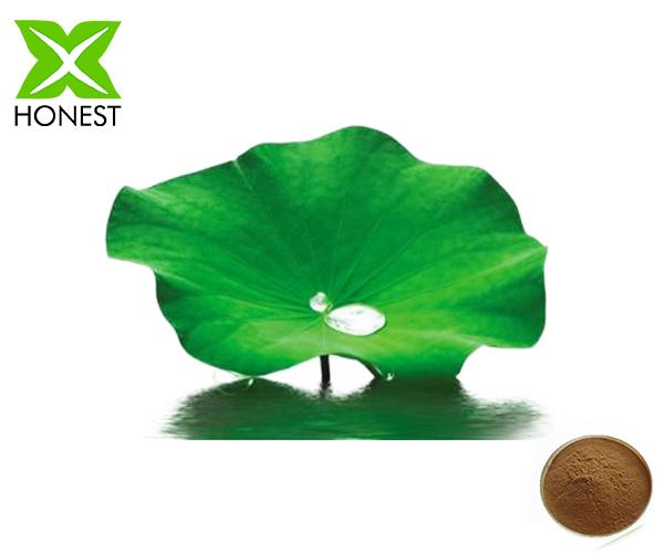 lotus leaf extract