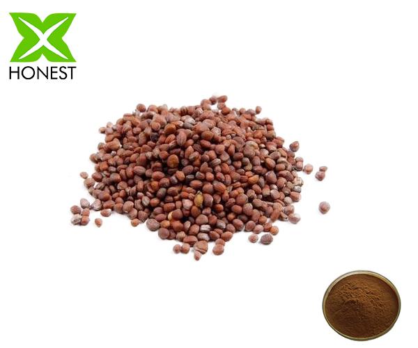 Radish Seed Extract