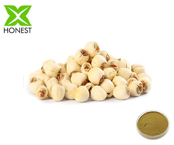 lotus seed extract