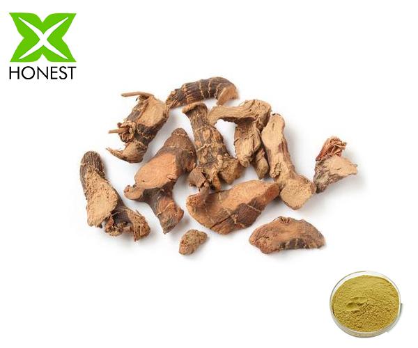 Galangal extract