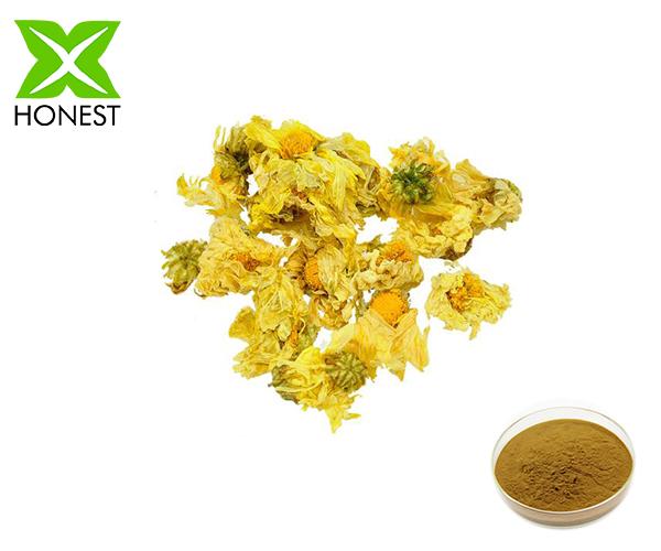 Chrysanthemum extract