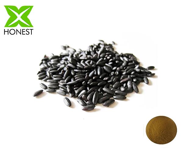 Black sesame extract