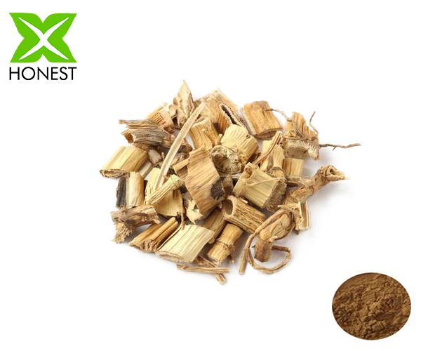 Fresh Reed Root Extract