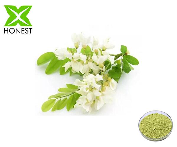 Sophora japonica extract