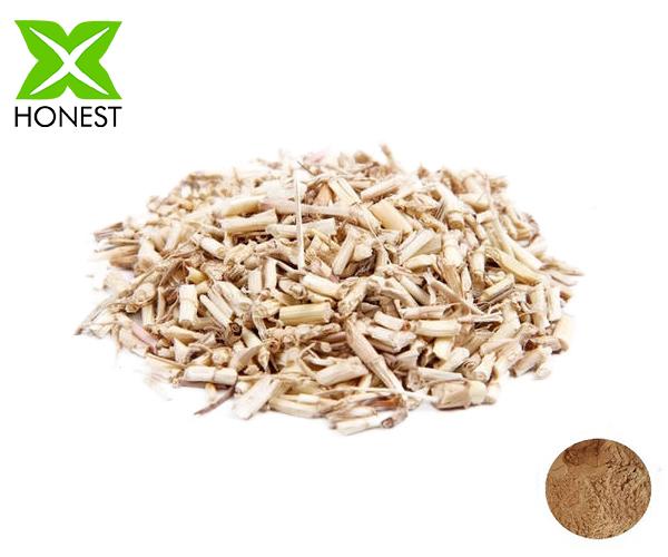 Rhizoma Imperatae Extract