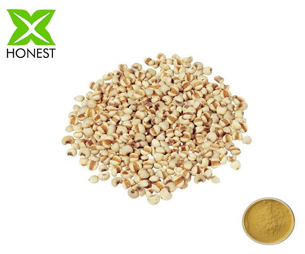 Coix Seed Extract