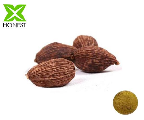 grass fruit extract