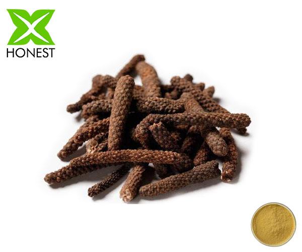 Long pepper extract