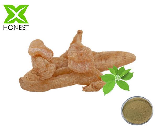 Gastrodia extract