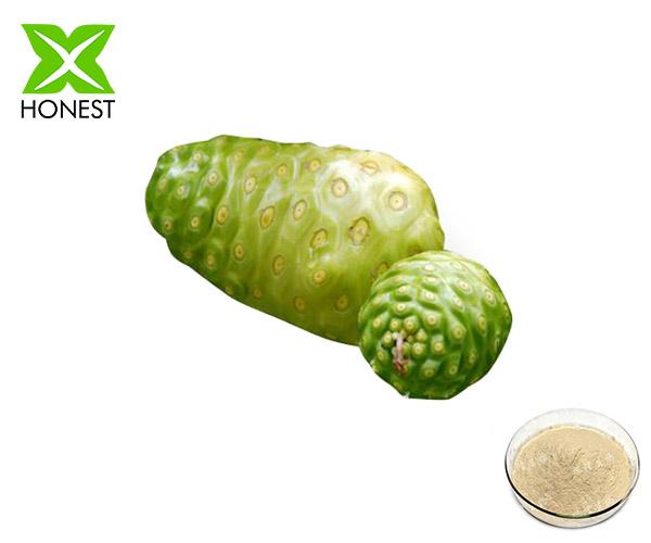 Noni fruit powder