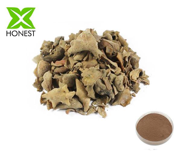 Galla Chinensis Extract