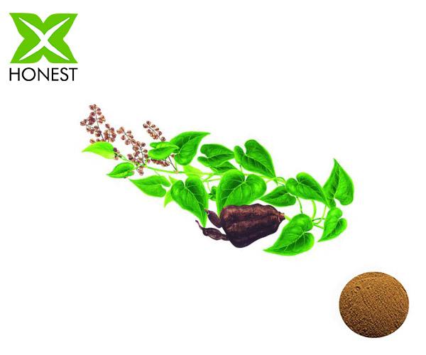 Polygonum Multiflorum Extract