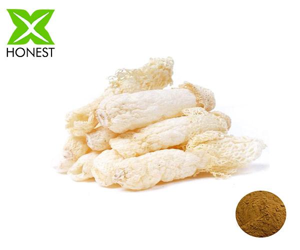 Bamboo Fungus Extract