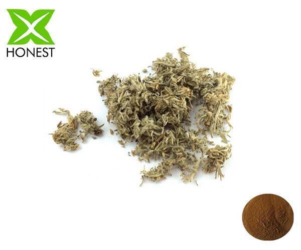 Wormwood Extract