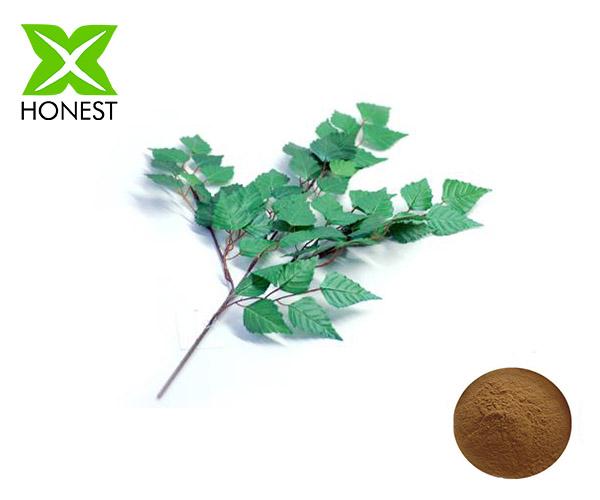 Birch Leaf Extract