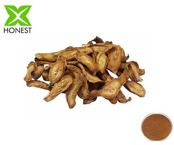 Burdock Root Extract