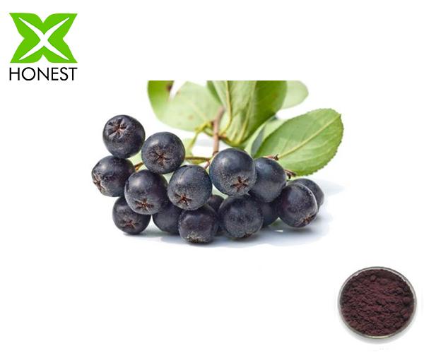 Sorbus Extract